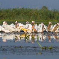 Donaudelta und Dobrudscha